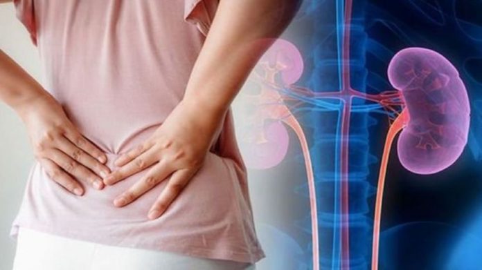 Urine Infection Symptoms: UTI क्या होता है, जानिए लक्षण, कारण और बचाव के तरीके